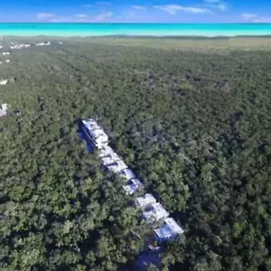 https://supreme-jungle-holiday-home-in-tulum-private-pool.allrivieramayahotels.com